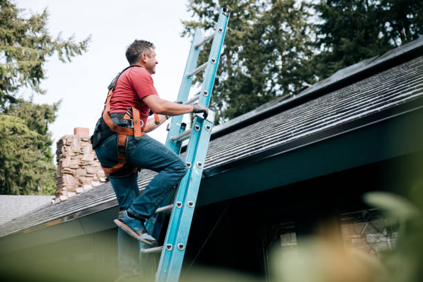 Best Skylight Installation and Repair  in Willard, UT